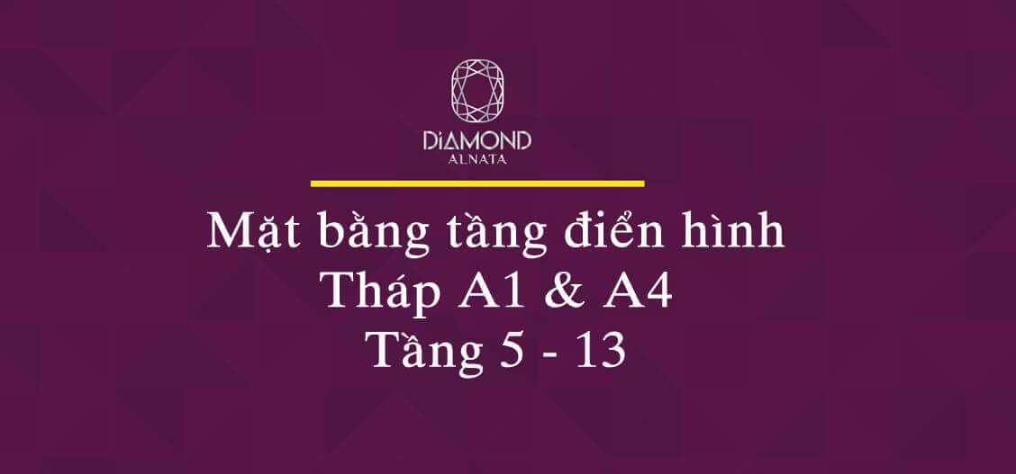 Diamond Anata Diamond Anata