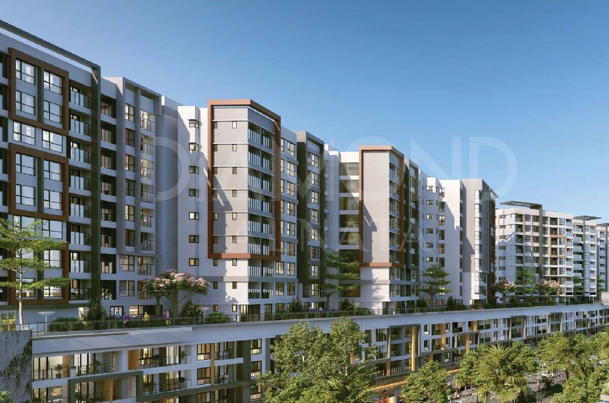 Diamond Anata Diamond Anata